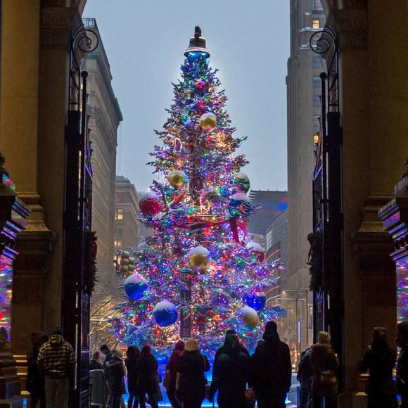 Meet your Posher, Debbie - Picture 1 of 1